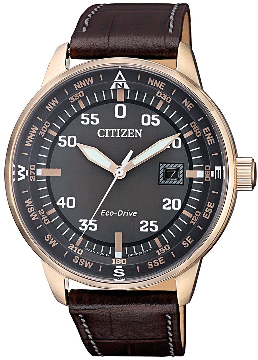 citizen eco drive pilot