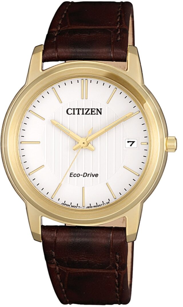 citizen wr 50 gold