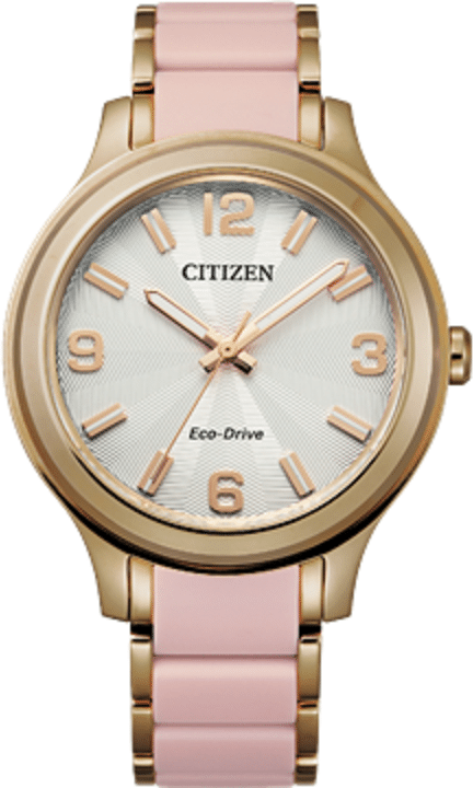 citizen eco drive ladies watches